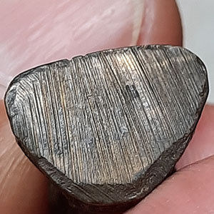 พระรูปหล่อ ที่ระลึกทำบุญอายุครบ 8 รอบ 96 ปี หลวงพ่อเล็ก วัดบ้านหนอง จ.ชัยนาท ปี 2533