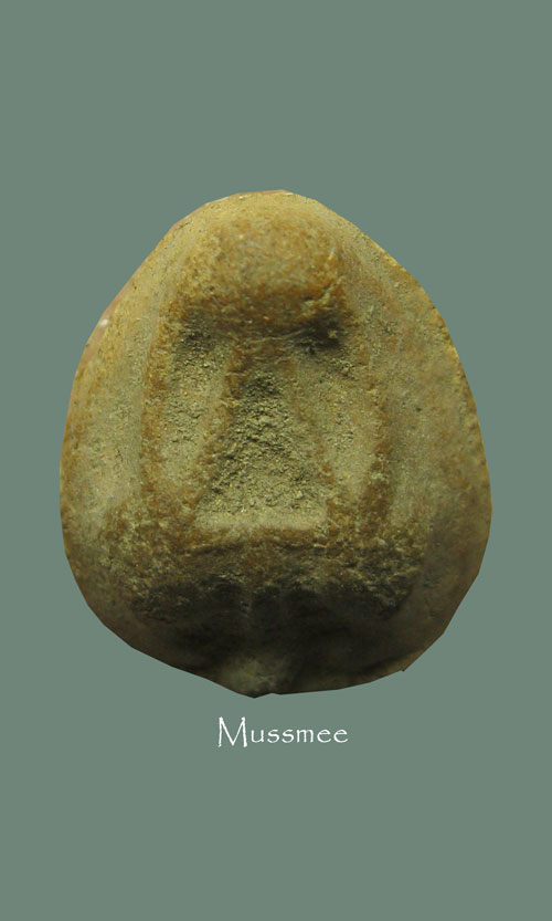 พระกรุวัดบางสะแกนอก พิมพ์พระปิดตาเม็ดบัว (หายากครับ) หลวงปู่ศุขปลุกเสก พระสวยยยยยยยย