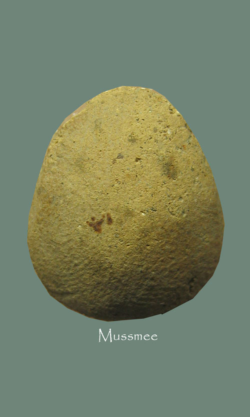 พระกรุวัดบางสะแกนอก พิมพ์พระปิดตาเม็ดบัว (หายากครับ) หลวงปู่ศุขปลุกเสก พระสวยยยยยยยย