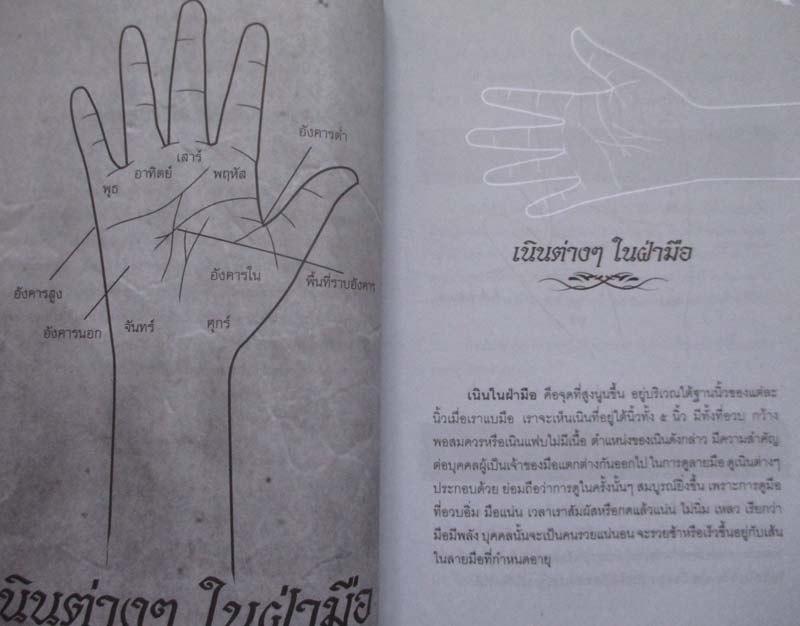  หนังสือ ลายมือลิขิตชีวิตคน