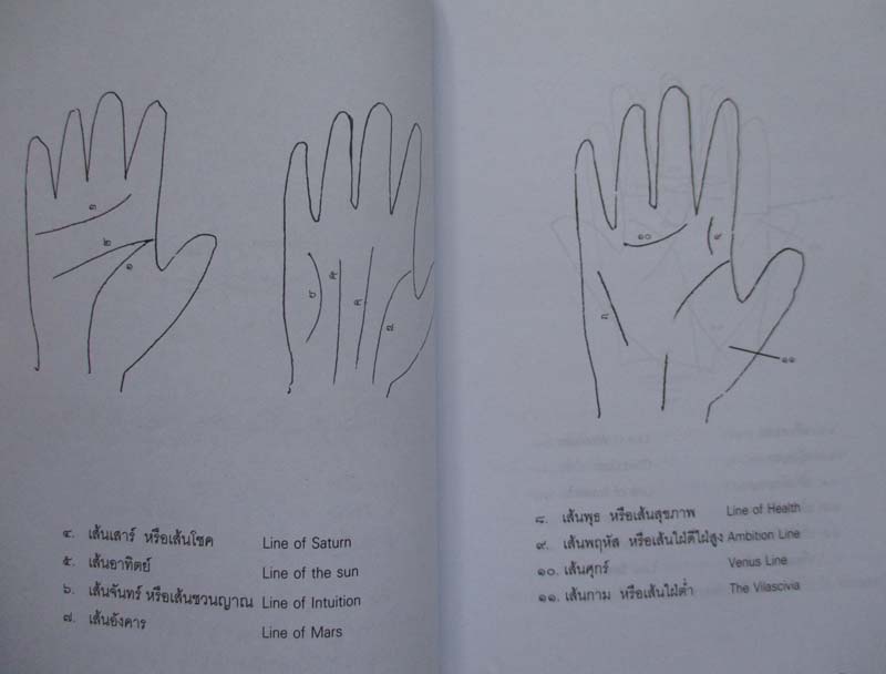  หนังสือ ลายมือลิขิตชีวิตคน