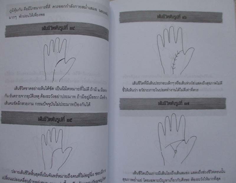  หนังสือ ลายมือลิขิตชีวิตคน