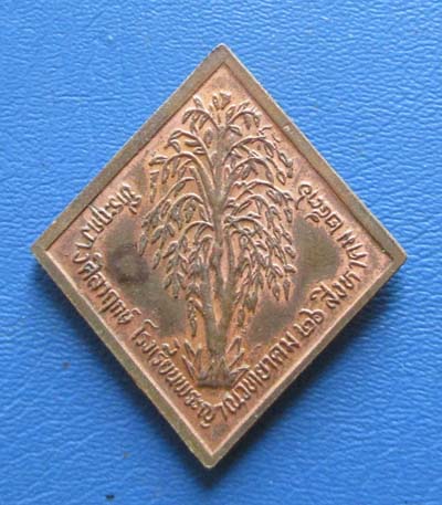 เหรียญพิมพ์ข้าวหลามตัด หลวงพ่อคูณ  วัดบ้านไร่ ปี2536 เนื้อทองแดงผิวไฟ