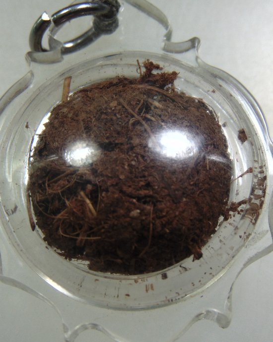 ๓๐ ชานหมาก