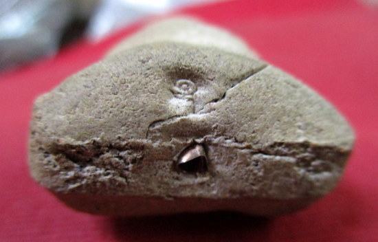 พระปิดตาพิมพ์ตะพาบ ฝังนิล ฐานฝังตะกรุด ตอกโค๊ตยันต์