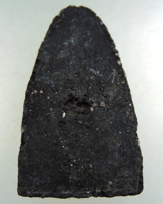 ๒๐ หลวงปู่ทวด เนื้อว่าน