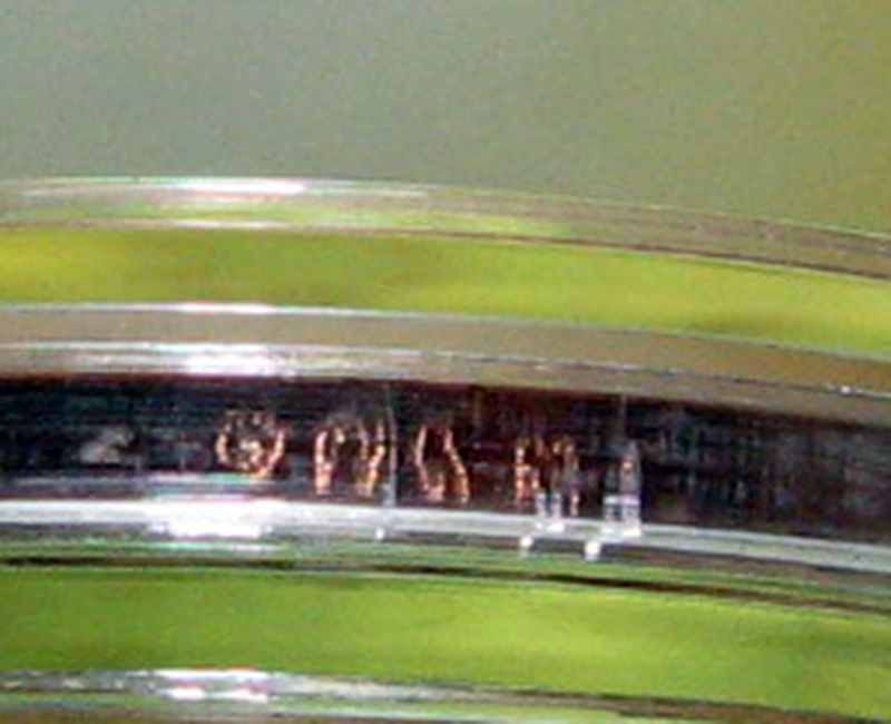 หลวงพ่อสาคร มนุญฺโญ วัดหนองกรับ อ.บ้านค่าย จ.ระยอง (ศิษย์เอกหลวงปู่ทิม)