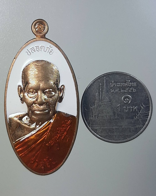 เหรียญปลอดภัยอายุยืนหลวงพ่อพัฒน์ วัดห้วยด้วน ทองทิพย์ลงยาจีวร-ยาขาว ท.367