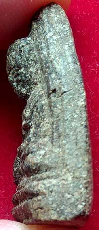 *หลวงพ่อทวดนวล วัดตุยง ปัตตานี รุ่นแรก ปี๒๕๐๗ เนื้อว่าน*