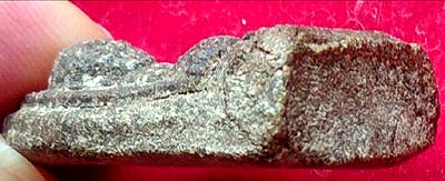 *หลวงพ่อทวดนวล วัดตุยง ปัตตานี รุ่นแรก ปี๒๕๐๗ เนื้อว่าน*