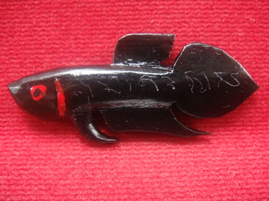  ปลากัด ไม้งิ้วดำ หลวงพ่อน่วม วัดโพธิ์ศรีเจริญ