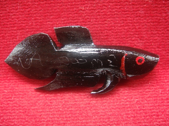  ปลากัด ไม้งิ้วดำ หลวงพ่อน่วม วัดโพธิ์ศรีเจริญ