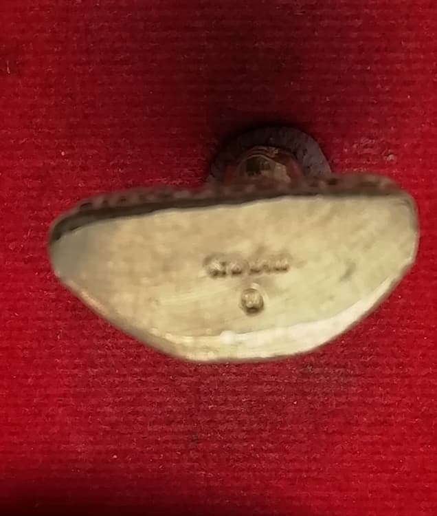 รูปเหมือนปั๊ม รุ่น9 มงคล หลวงพ่อฉาบ วัดศรีสาคร เนื้ออัลปาการ์สวยๆ#7