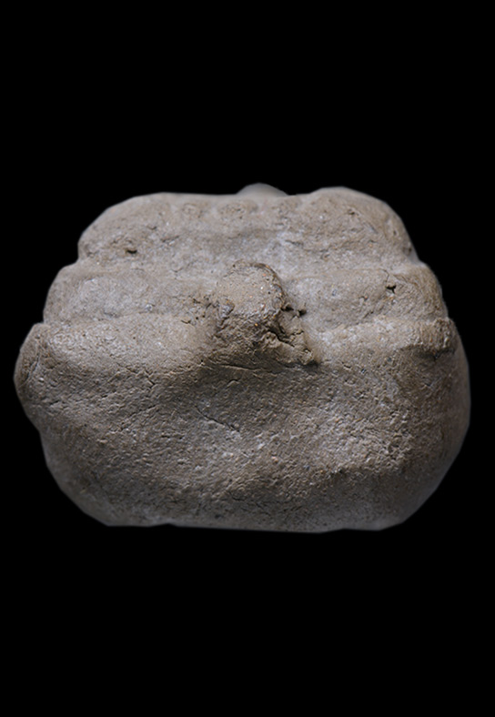 หลวงปู่ทวด พิมพ์ใหญ่ เนื้อว่าน รุ่นบุญสูง ปี 2542