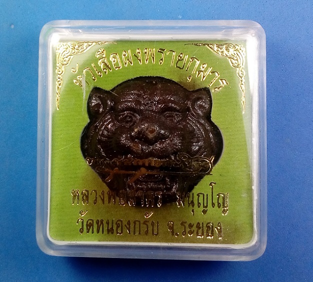 หน้าเสือเนื้อดำ ผสมผงพรายกุมาร ลพ.สาคร ปี 2556 หลังฝังหนังเสือ เกศา แผ่นโค๊ต และตะกรุดเงิน