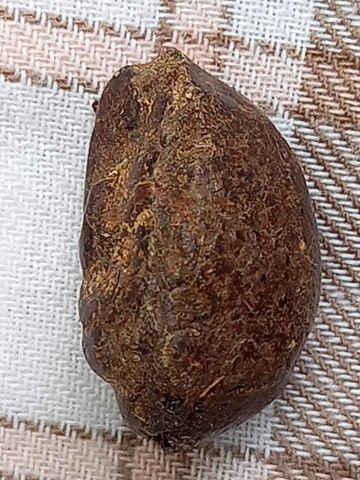 พระปิดตาจิ๋วเนื้อว่าน คลุกรักเก่า เนื้อแห้งเบามาก เก่าเก็บสภาพเดิมๆ