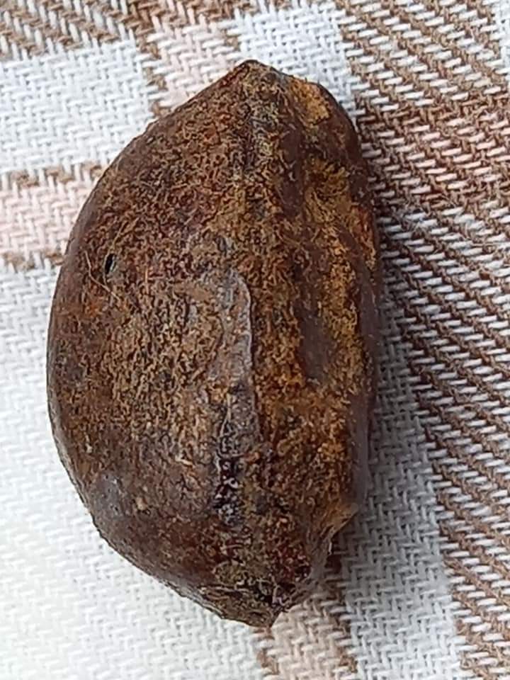 พระปิดตาจิ๋วเนื้อว่าน คลุกรักเก่า เนื้อแห้งเบามาก เก่าเก็บสภาพเดิมๆ