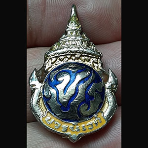พระปรมาภิไธยย่อ จปร.ลงยา หลังเหรียญ ร.๕
