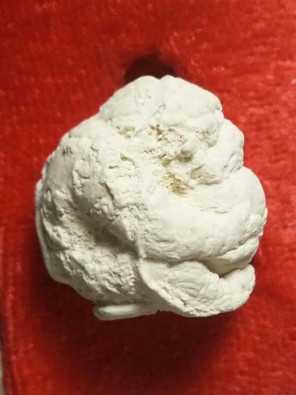 หนุมานอุ้มดวงเนื้อผง หลวงปู่เกลี้ยง วัดเนินสุทธาวาส  เคาะเดียวครับ 