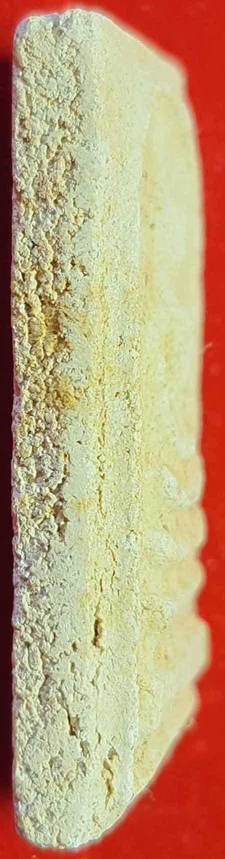 ไม่มีกล่องราคาพิเศษครับสมเด็จวัดระฆังโฆสิตาราม พ.ศ.๒๕๐๗ 2 องค์*58