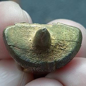 พระยอดธงหลวงพ่อขาว วัดหนองพยอม จ.พิษณุโลก