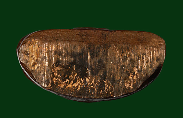 รูปเหมือนปั๊มหลวงปู่มังวัดเทพกุญชร จ.ลพบุรี รุ่นแรก เนื้อทองแดง !!!!สร้างน้อย ครับ**