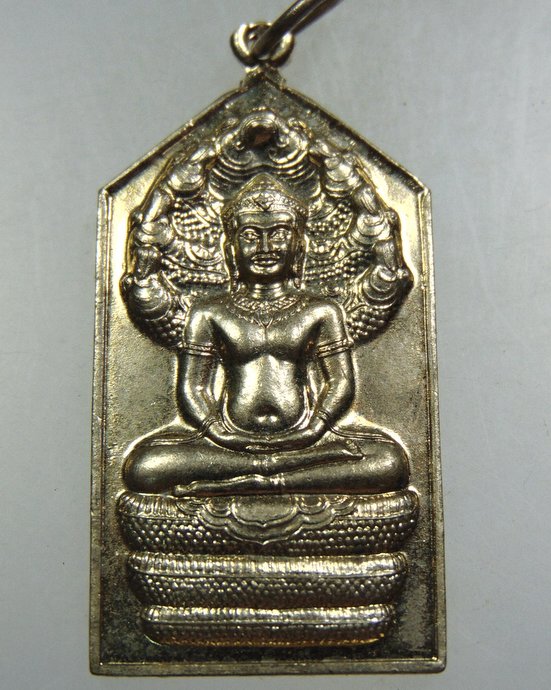 ๒๐ เหรียญพระนาคปรก จปร