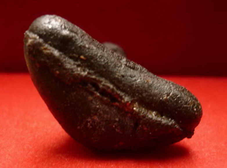 พระปิดตาเนื้อผงผสมว่าน ด้านหน้ายันต์ ฤ พ่อท่านแก้ว วัดสะพานไม้แก่น จ.สงขลา