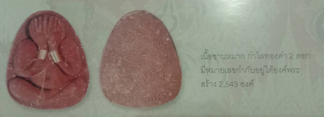 ปิดตามหาเสน่ห์ กำไรทองคู่ หลวงปู่ทิม วัดพระขาว อยุธยา เลี่ยมพร้อมใช้