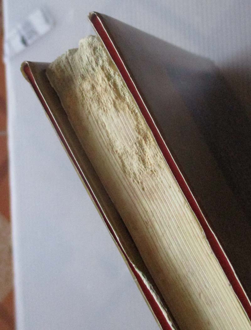 หนังสือ การเดินทางสู่ความสำเร็จ