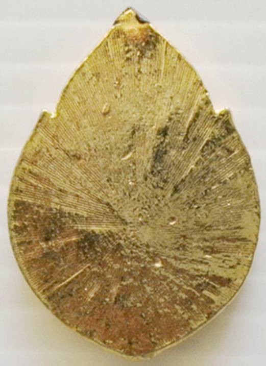 เหรียญเนื้อกะไหล่ทอง ลงยา รัชกาลที่ 5