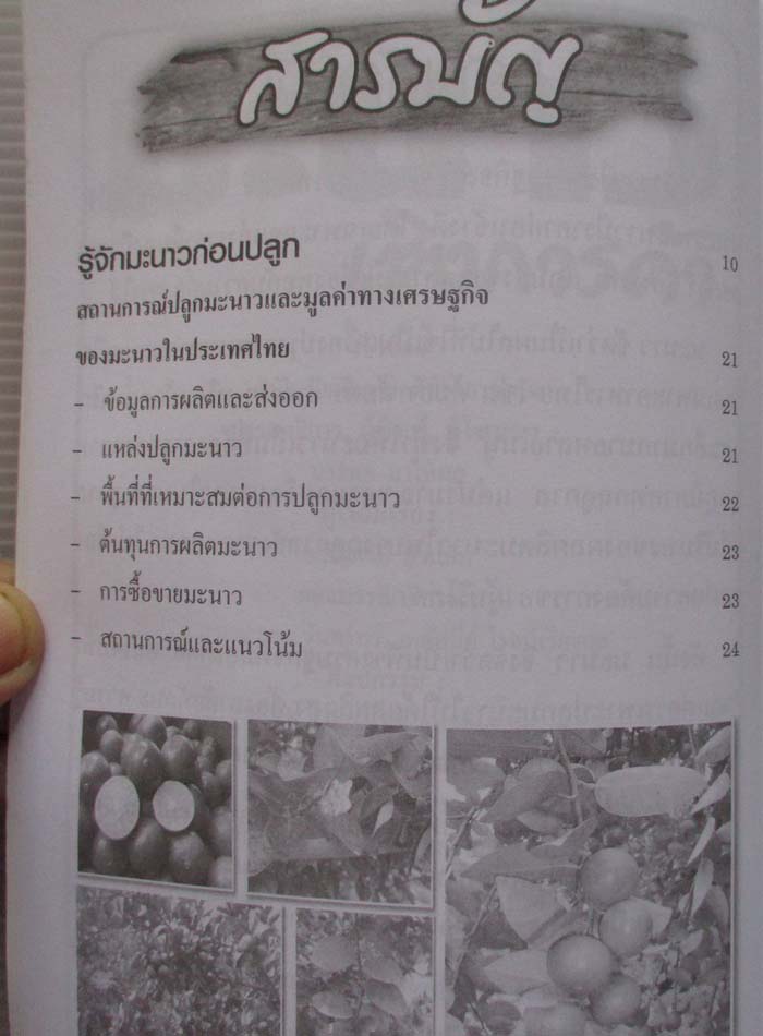 หนังสือ เทคนิคการปลูกมะนาวเชิงการค้า