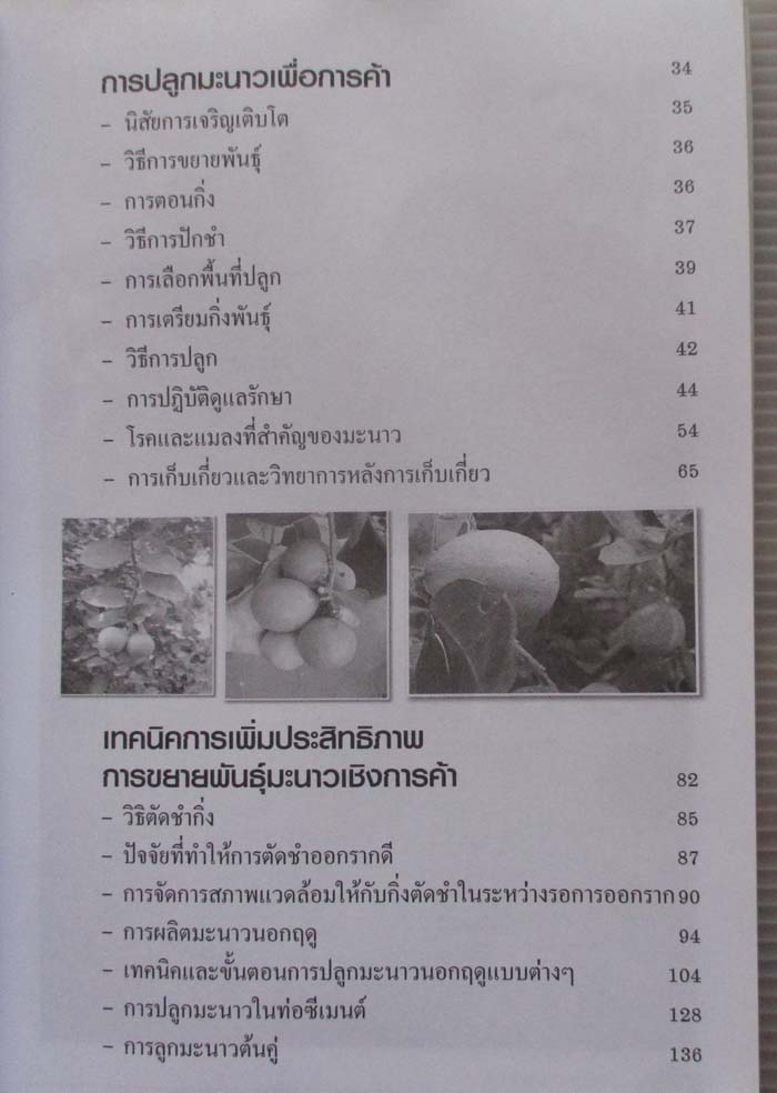 หนังสือ เทคนิคการปลูกมะนาวเชิงการค้า