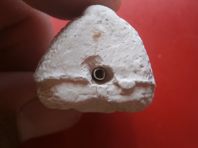 หนุมาน หลวงปู่เจือ วัดกลางบางแก้ว