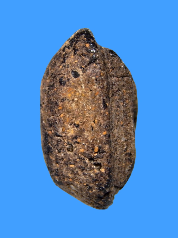 พระปิดตา หลวงปู่เหรียญ วัดหนองบัว ปี 2481 No.06