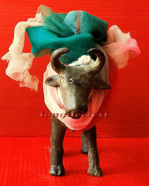 วัวธนูหล่อบูชาขนาดใหญ่ หลวงพ่อพุฒ วัดกลางบางพระ จ.นครปฐม รุ่นเก่า หายากมากค่ะ