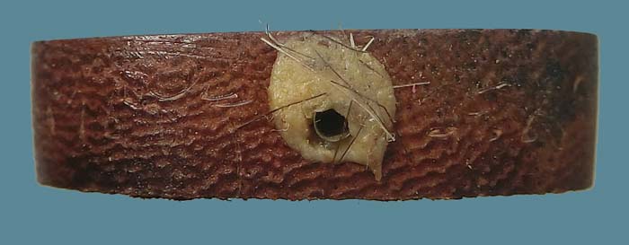 พระปิดตาเนื้อไม้คูณแกะ หลวงปู่แขก วัดสุนทรประดิษฐ์ จ.พิษณุโลก ปี 2552 รุ่นนะมหาอำนาจกันภัย