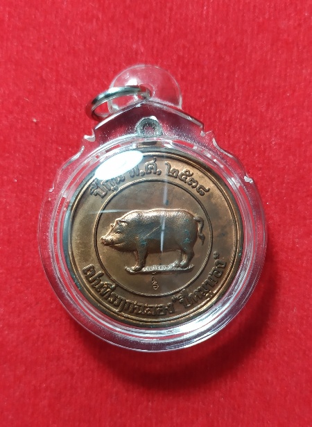 เคาะเดียว เหรียญหมูสองหน้าสวยเดิมๆ หลวงพ่อสาคร วัดหนองกรับ ปี 2538