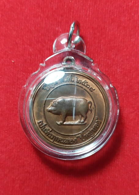 เคาะเดียว เหรียญหมูสองหน้าสวยเดิมๆ หลวงพ่อสาคร วัดหนองกรับ ปี 2538