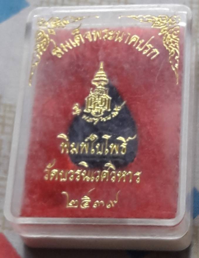 สมเด็จพระนาคปรก วัดบวรฯ ปี 2539