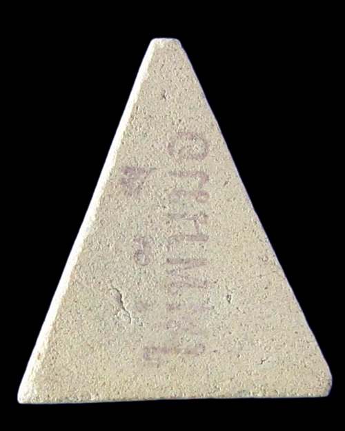 นางพญาเศียรโต หลวงพ่อสงวนวัดไผ่พันมือ