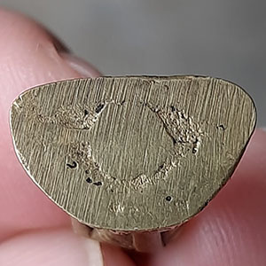 พระพุทธวิโมกข์หลวงปู่โง่น พิจิตร ปี 38