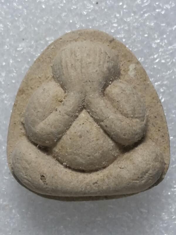 พระปิดตาเนื้อผง  หลัง หนุมานเชิญธง หลวงปู่เกลื้ยงวัดเนินสุทธาวาส 