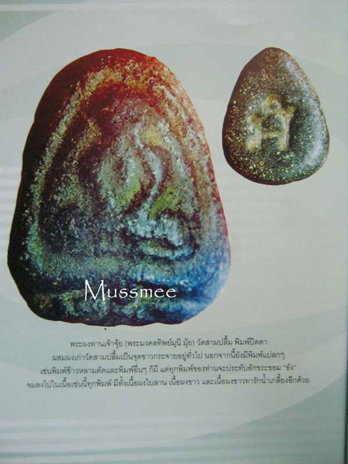 พระปิดตา ท่านเจ้าจุ้ย วัดสามปลื้ม (เนื้อผงใบลาน) พระสวยยยยยยยยยยยยยยยยยยย