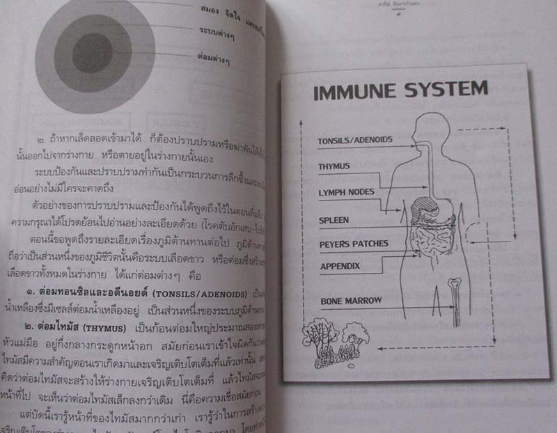 	 หนังสือ เรื่องของภูมิชีวิต