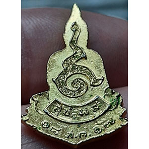 เหรียญพระพุทธ สุขะ พละ ปี ๑๗ ไม่ทราบที่