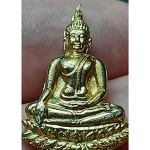 เหรียญพระพุทธ สุขะ พละ ปี ๑๗ ไม่ทราบที่