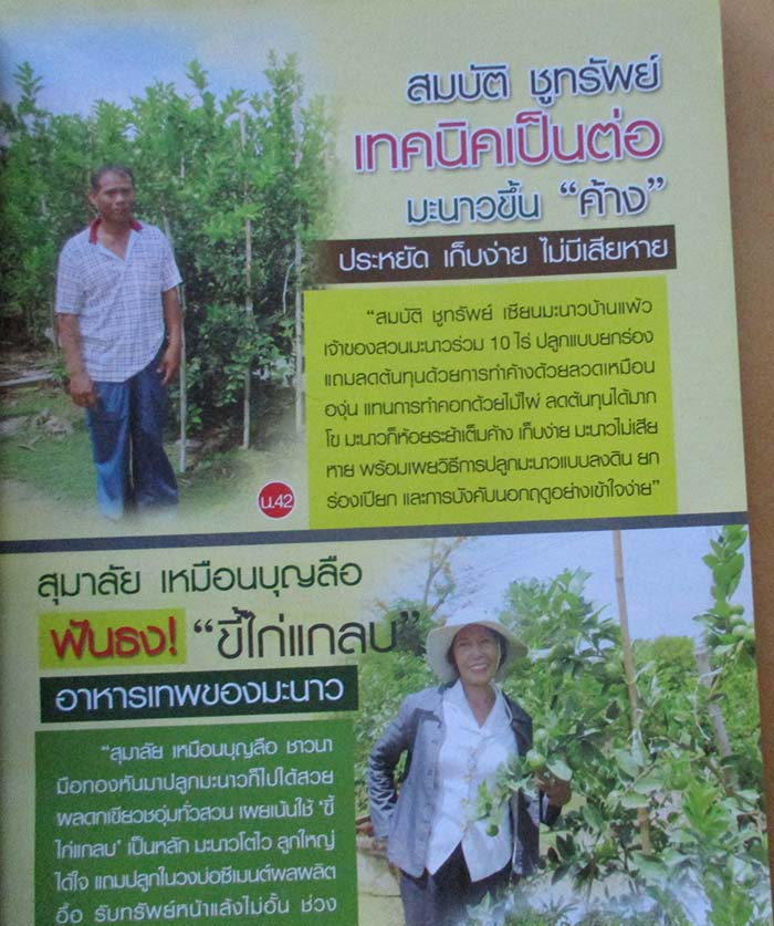 หนังสือ 20เทคนิคสวนมะนาว