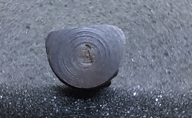 รูปหล่อสมเด็จโต