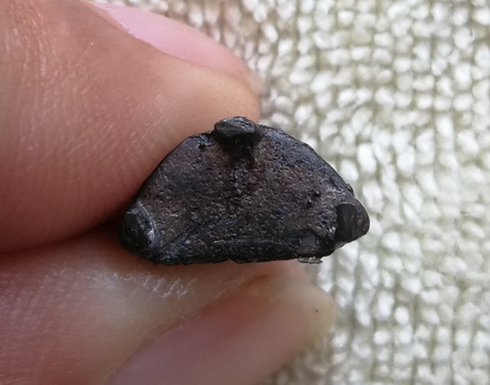 รูปหล่อรุ่น ๑ มั่งมี ศรีสุข หลวงพ่อสัมฤทธิ์ วัดเซิงหวาย จ.กรุงเทพ